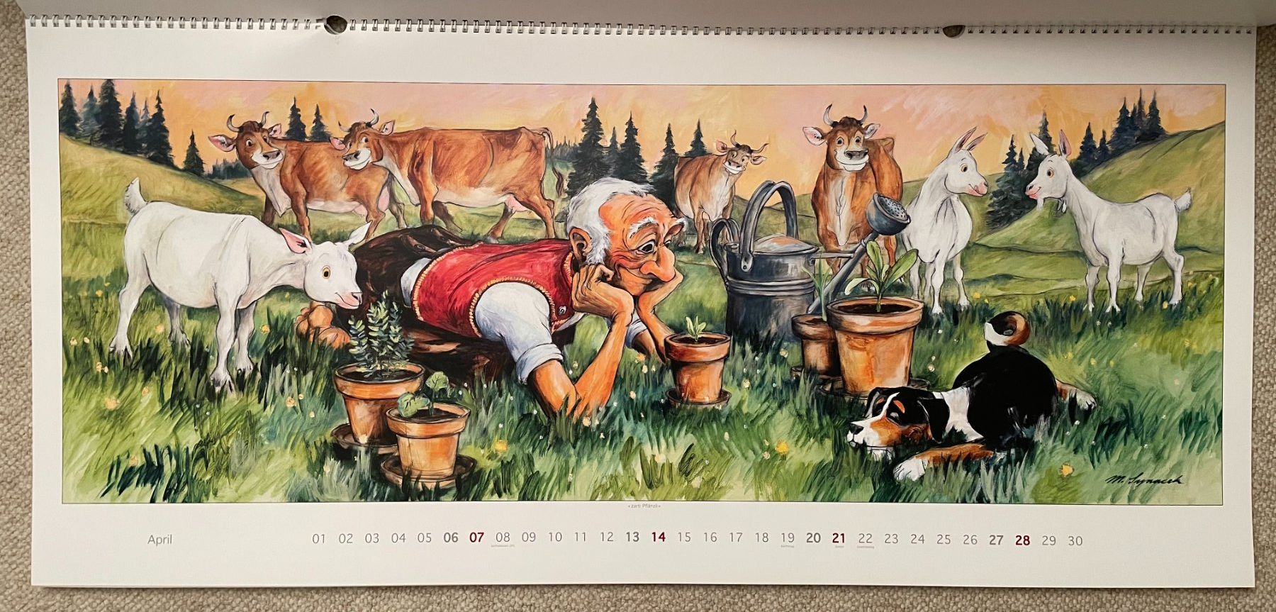 Calendari: Synacek Kalender – Usato da Rümlang venduto da Boehneli7 4