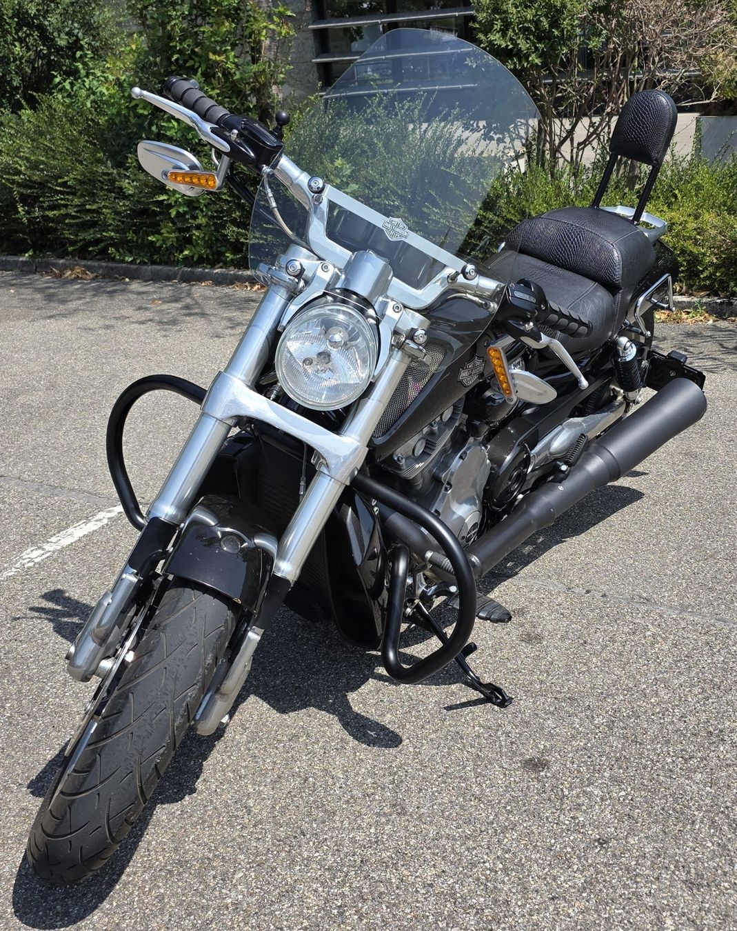 Harley-Davidson Strada: Vends Harley-Davidson VRSCF Muscle – Usato da Plagne venduto da Jpmo0