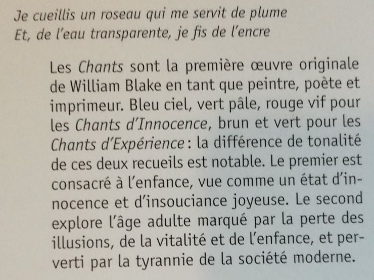 Bücher: William Blake Chants d'innocence et d'expérience Points P... – Neu (gemäss Beschreibung) aus Commugny von Juliemimi 3