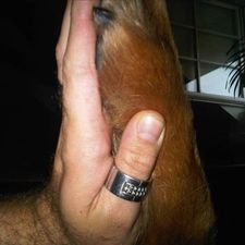 Profile image of ber_2tdb