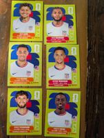 Panini USA