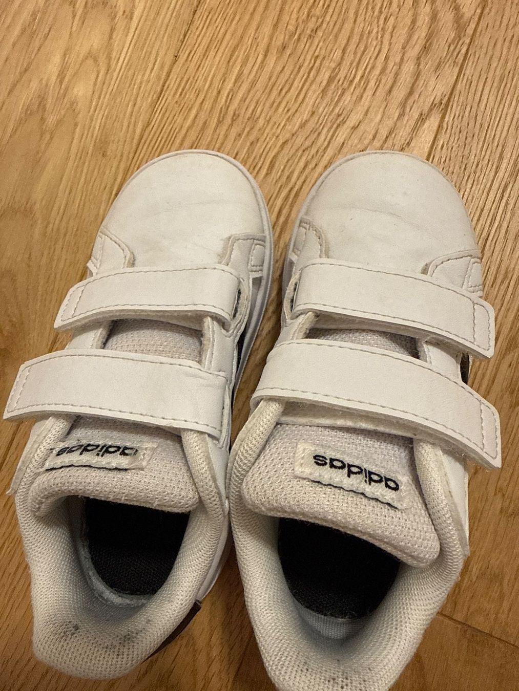 Adidas Scarpe per ragazzi: Adidas Kinder Sneaker Gr.25 – Usato da Schönenwerd venduto da d.chiara 3