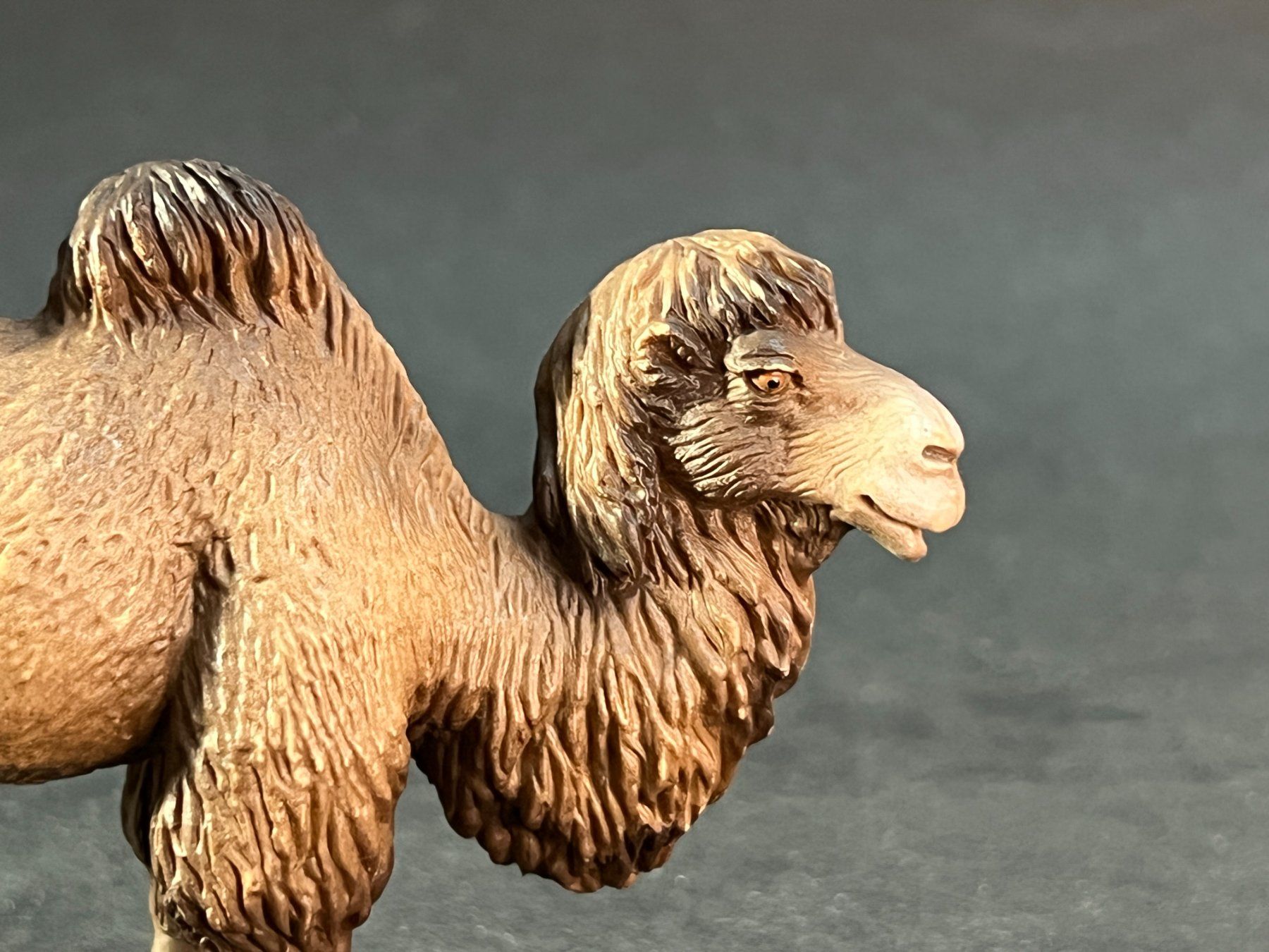 Schleich Statuette: Schleich Trampeltier Rarität Kamel – Usato da Ennetbaden venduto da mapa05 2