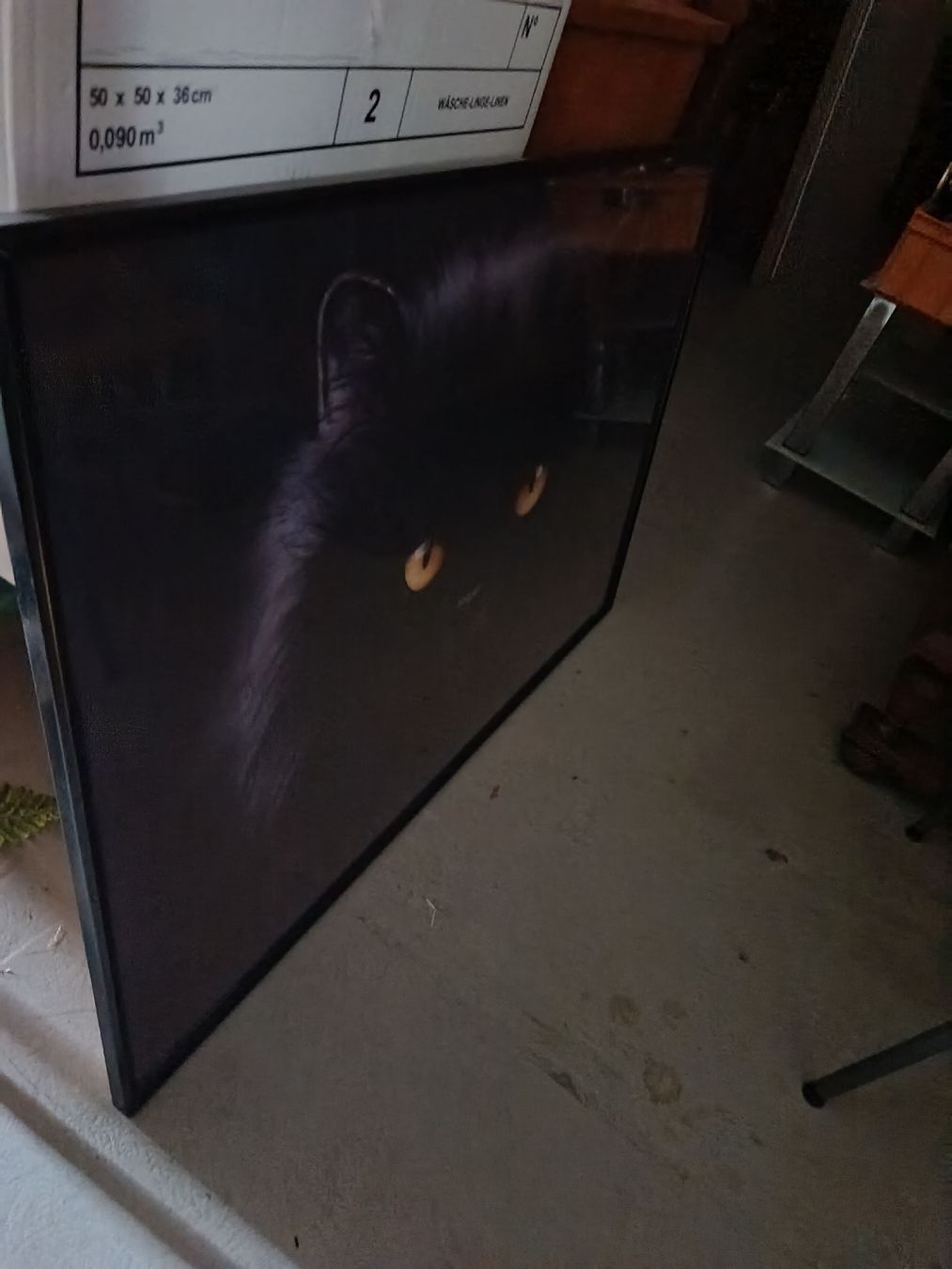 Poster & Bilder: Bild mit schwarzer Katze - 70 x 100 cm – Gebraucht aus Zürich von Kartal_Siner21 1
