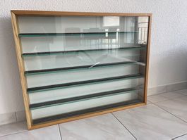 Schöne Modellbahn-Vitrine H0