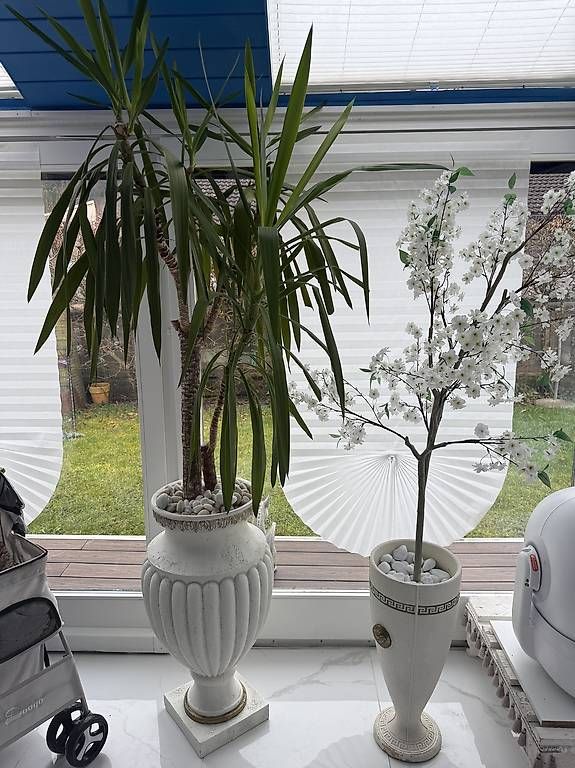 Vasi & Recipienti: pflanze mit römervase  – Usato da Adligenswil venduto da balboa5 2