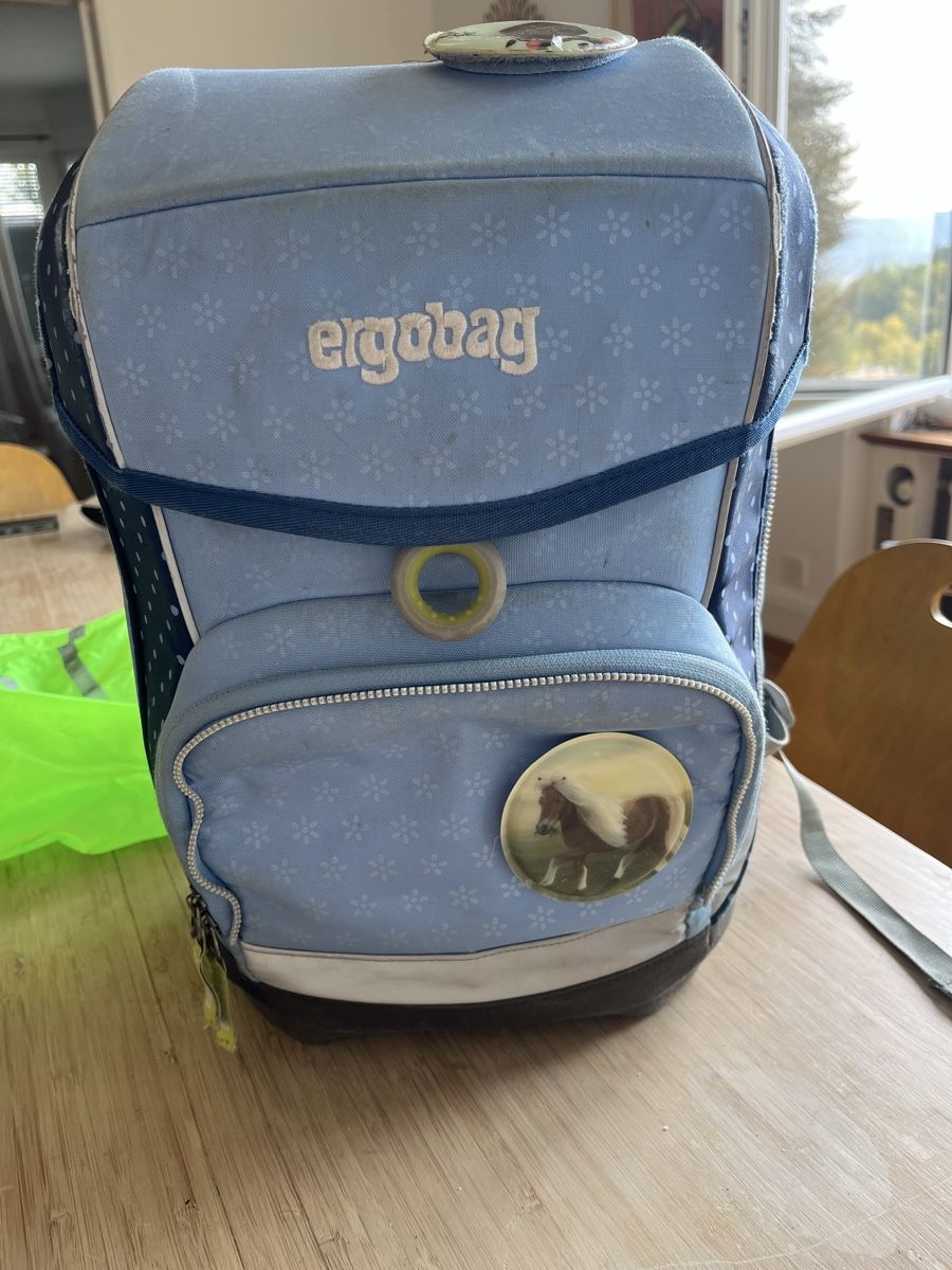 Ergobag Zaini: Ergobag Schulrucksack blau inkl. Etui & Regenschutz – Usato da Zürich venduto da NSJ