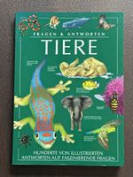 Fragen & Antworten Tiere, spannendes Wissensbuch
