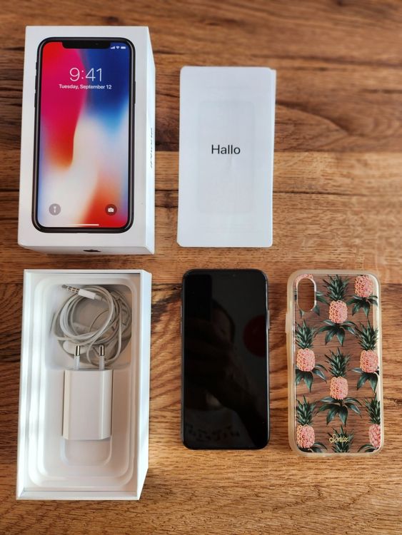 iPhone X 256 GB | Kaufen auf Ricardo