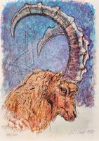 Fritz Hug Lithografie "Steinbockportrait", handsigniert