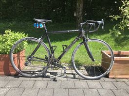 Simplon Pavo Rennrad Carbon Gr. 56 Shimano