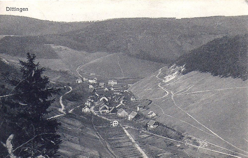 DITTINGEN Kaufen auf Ricardo