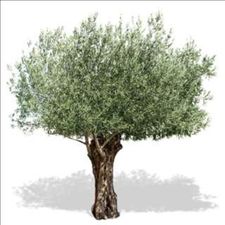 Profile image of courriel09
