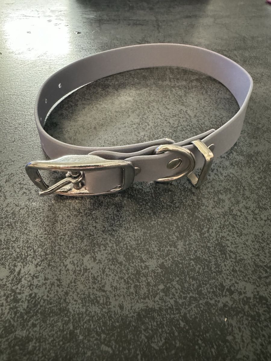 Guinzagli & Collari: Hundehalsband Violett – Nuovo e nell'imballaggio originale da Niederglatt ZH venduto da vul_v86c