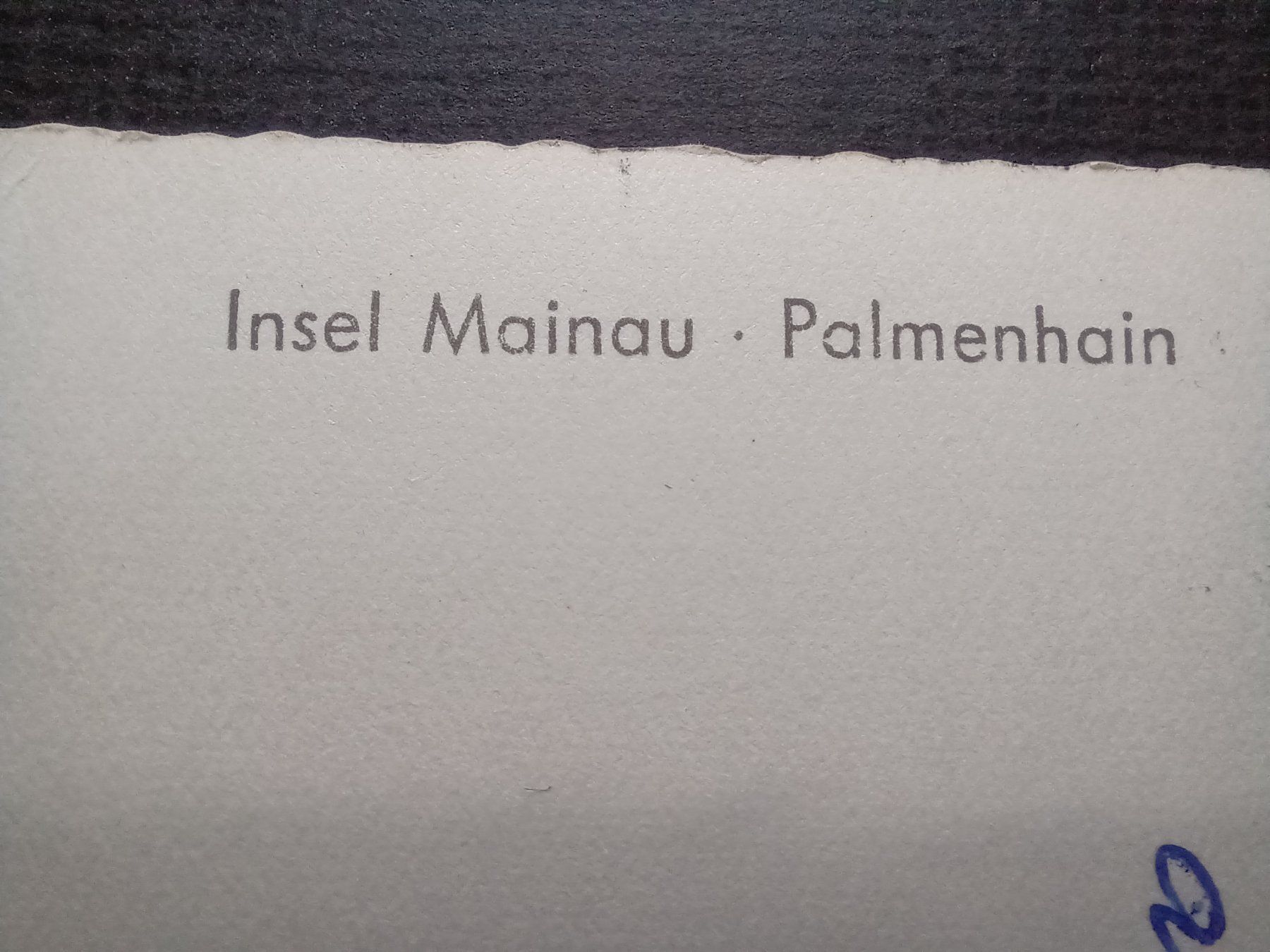 Cartoline postali: Insel Mainau, Palmenhain,1956, Bodensee, – Usato da Aarau Rohr venduto da mgvw 1
