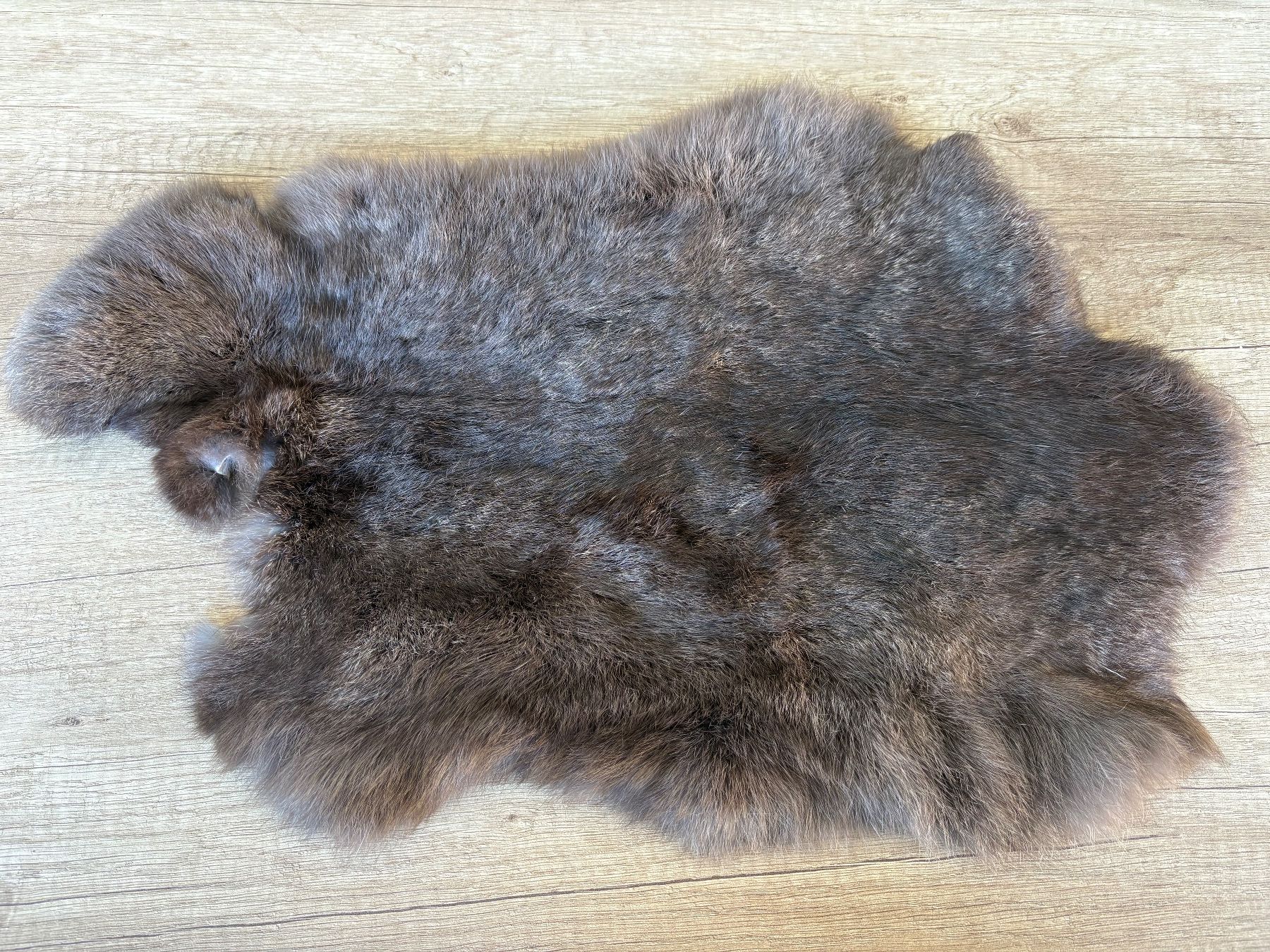 Welt der Tiere: Kaninchenfell braun – Gebraucht aus Schübelbach von S1CH