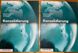 Rechnungswesen: Konsolidierung