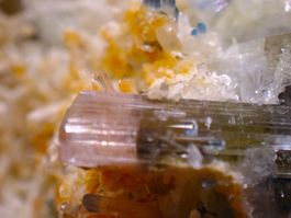 Impressive, glassy, polychrome TOURMALINE – Afghanistan