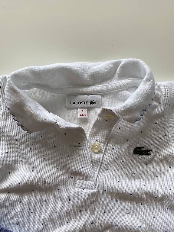 Lacoste Camicie, Top & T-shirt: Body Lacoste taglia 74 cm – Usato da Bellinzona venduto da mon_2wjn 1