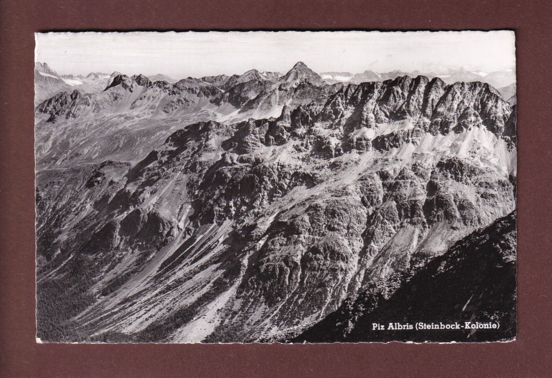 Cartes postales: PIZ ALBRIS - Feldpost – D'occasion à Pully par nicecards-shop