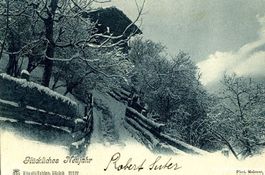 Glückliches Neujahr + 1903 TOP