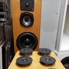 Profile image of THE_AUDIOFORUM-CH