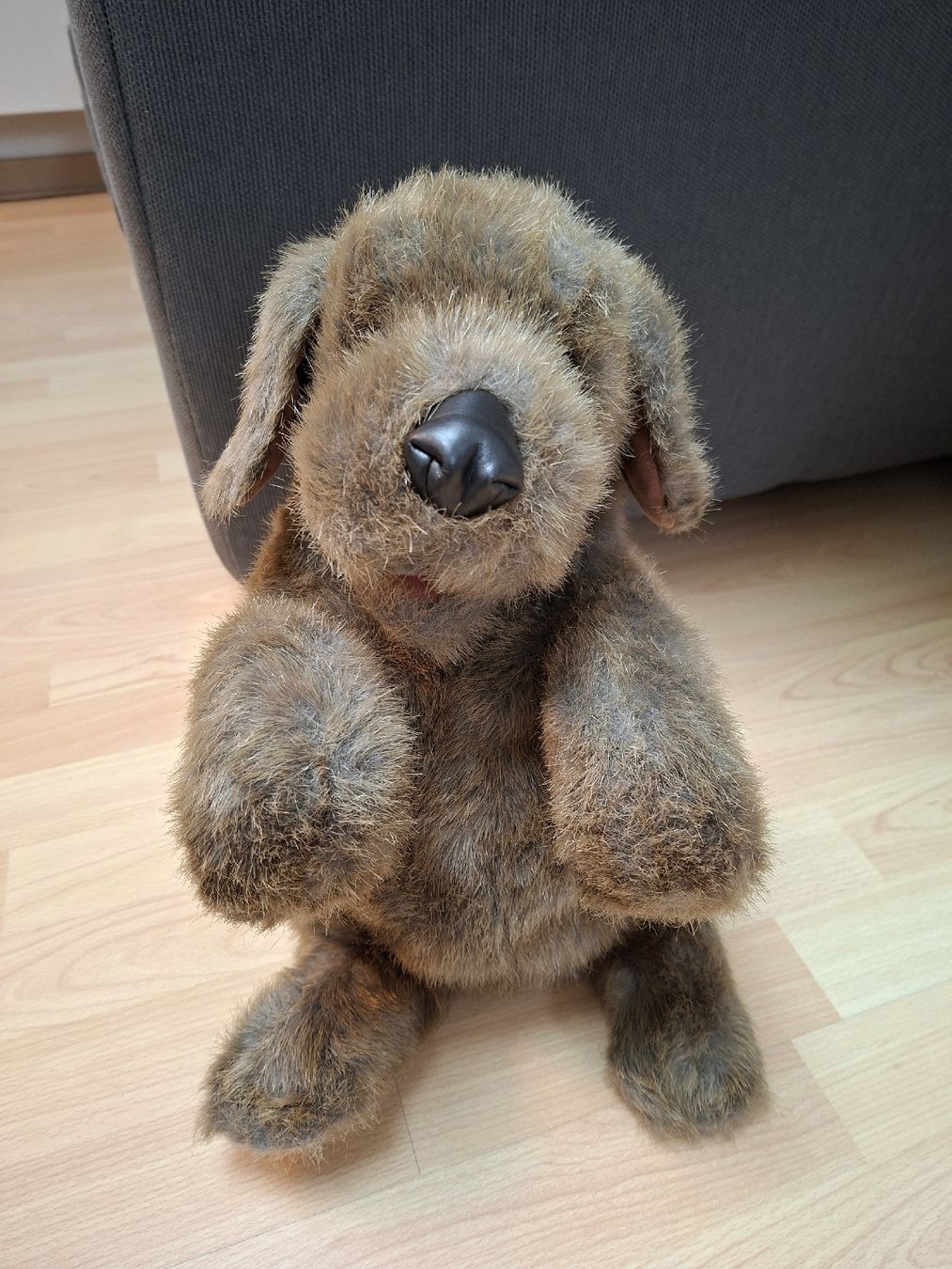 Bambole: Folkmanis Handpuppe "sitzender Hund" – Usato da Bilten venduto da ecobi