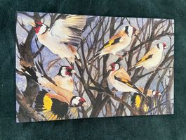 Distelfinken Goldfinch AK ungelaufen Kunstkarte