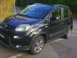Fiat Panda 1.3D, 4x4 Kleinwagen schwarz