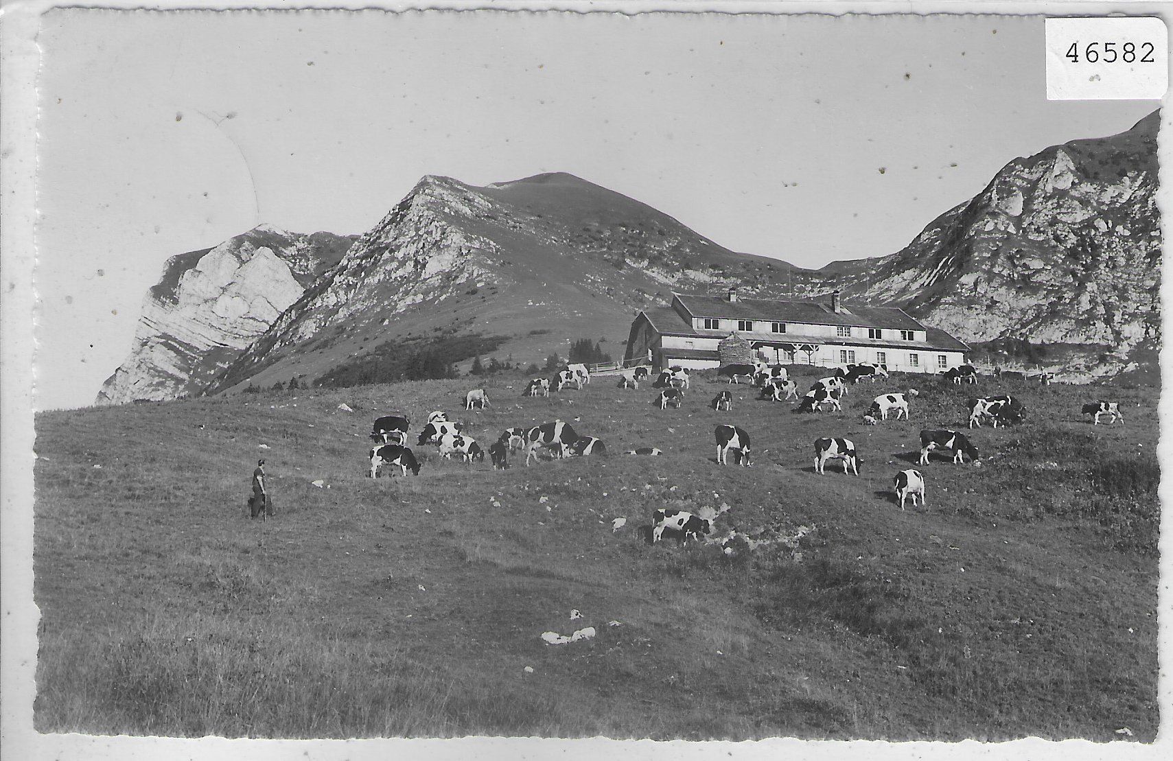 Cartoline postali: Chalet du Gros Plane et le Moleson – Usato da Ettingen venduto da Kartenplanet