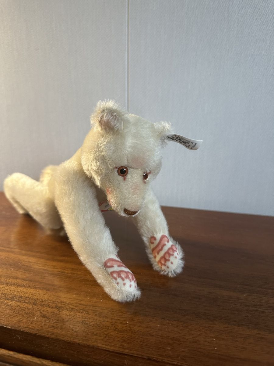 Steiff Puppen: Steiff Bär Dicky – Neu und originalverpackt aus Mumpf von A_B_E 4