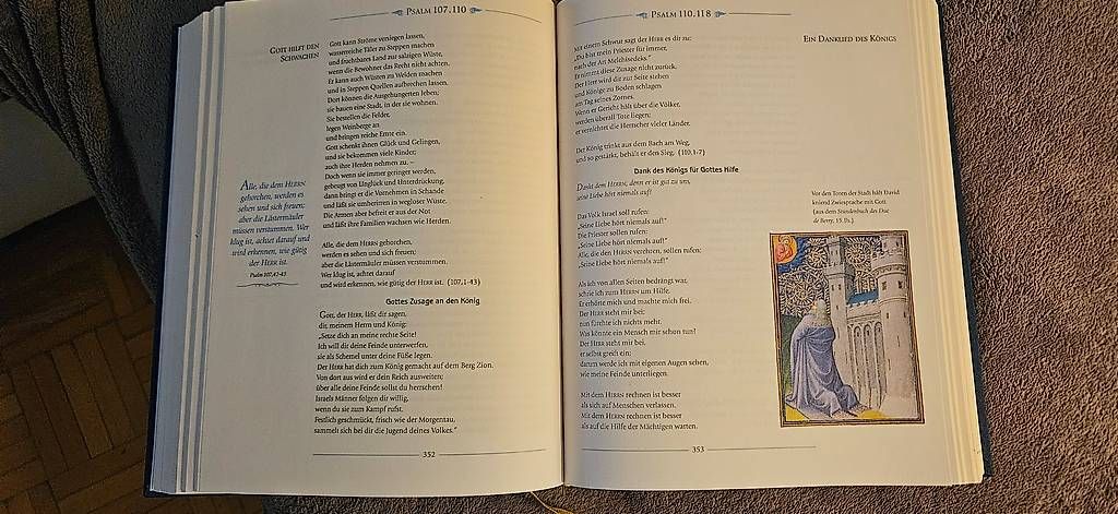 Libri: Neue Bibel – Usato da Roggliswil venduto da Amita59 1