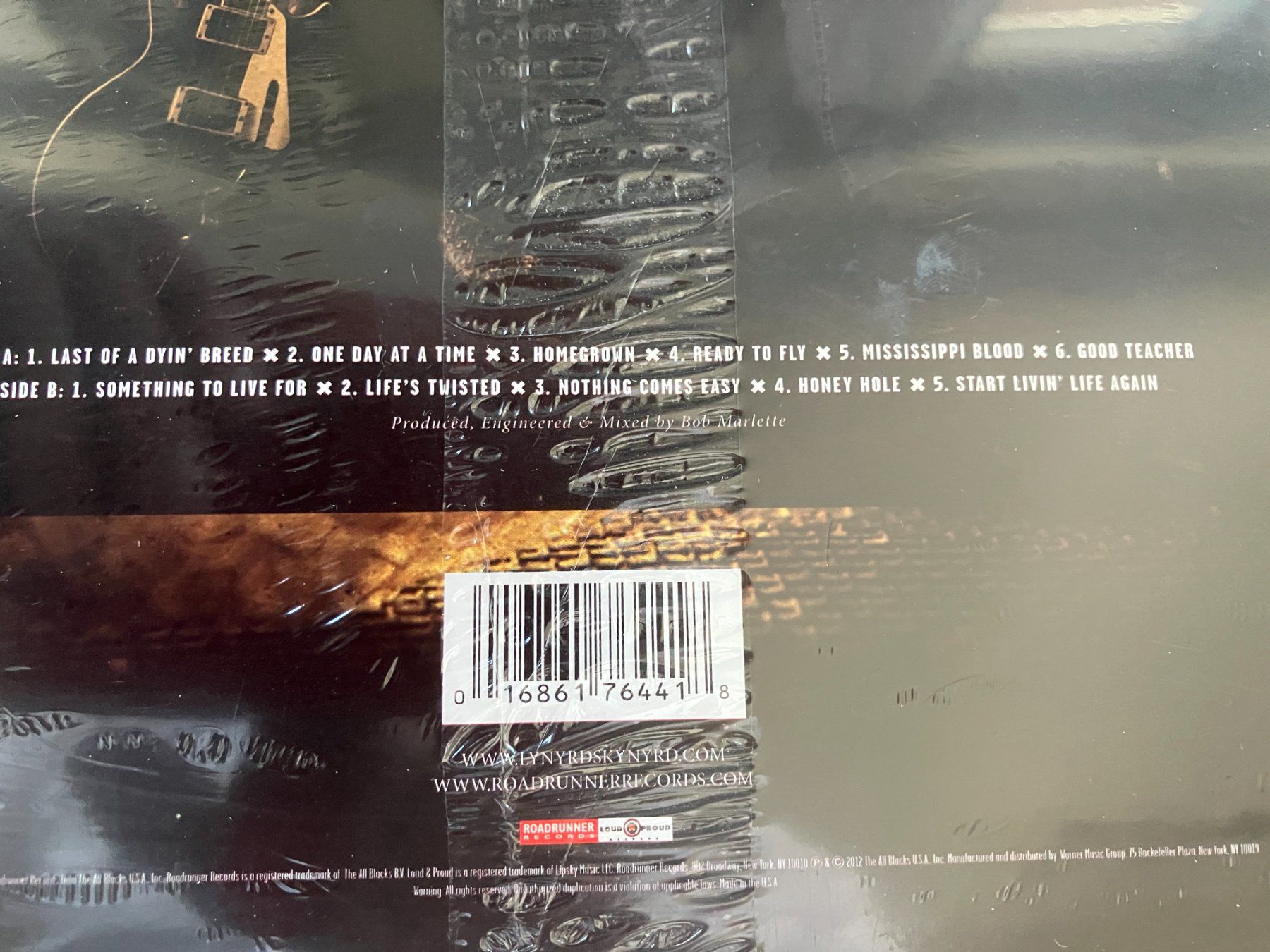 Dischi in vinile: Lynyrd Skynyrd – Nuovo e nell'imballaggio originale da Aarwangen venduto da Jukebox3 4