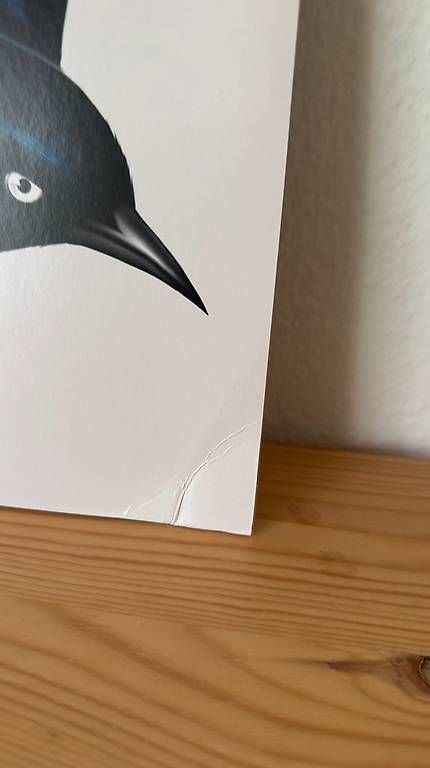 Dischi in vinile: VINYL: Fat Freddys Drop - Blackbird – Nuovo (secondo la descrizione) da Tägerwilen venduto da fennekfilke 1