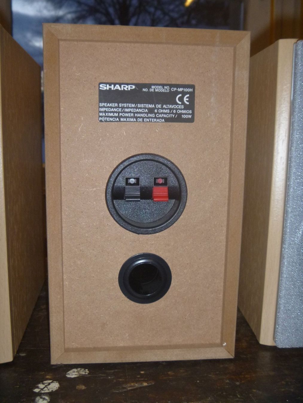 Sharp Casse acustiche: kleine Lautsprecher 6 Ohm 100Watt Sharp – Usato da Rüti ZH venduto da baumchen 1