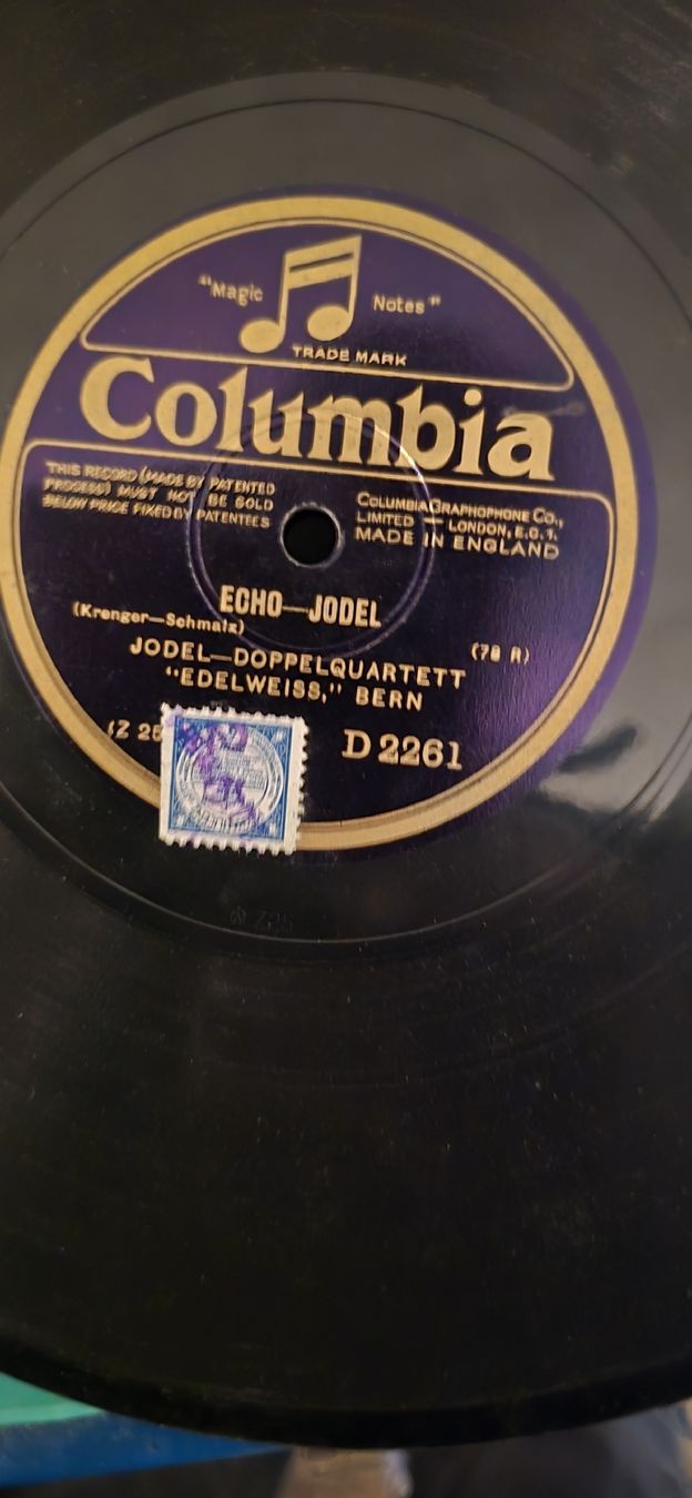 Dischi in vinile: Sammlung Schellackplatte,  Konvolut 22 verschiedene Grössen – Usato da Basel venduto da Jcva 4