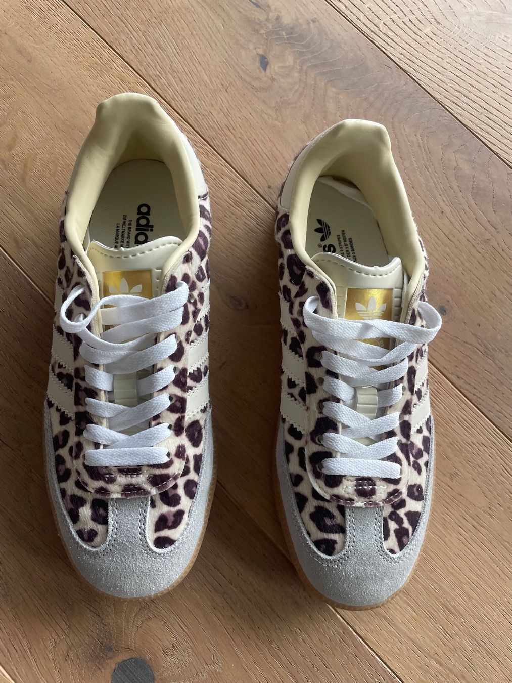 Adidas Damenschuhe: Adidas Samba (Special Edition) – Neu (gemäss Beschreibung) aus Zuckenriet von martina_b01 1