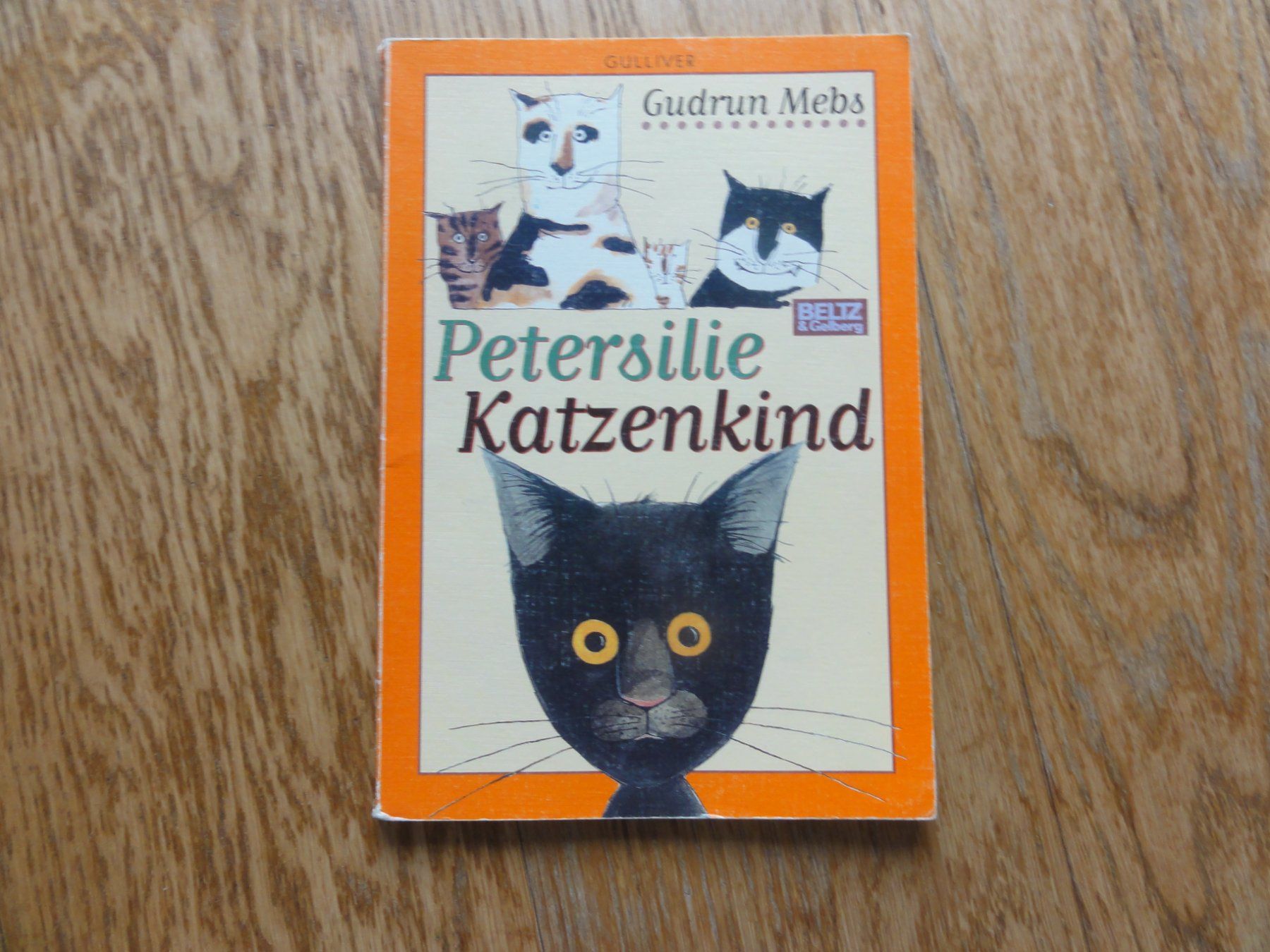 Libri: Petersilie Katzenkind – Usato da Riedholz venduto da Taweva