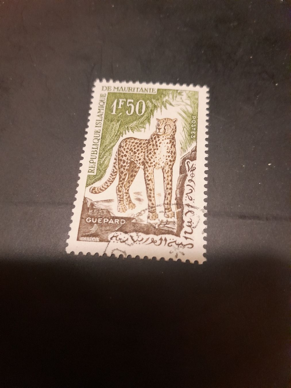 Tutti i francobolli: Timbre Mauritanie Guépard - Edition Originale Rare! – Usato da Marly venduto da globetrotter1723