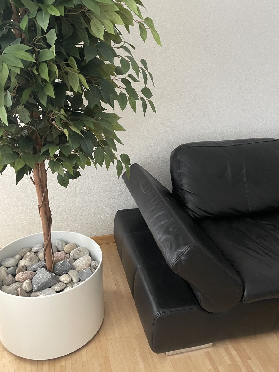 Musterring Sofas: Echtledersofa schwarz mit Metallfüssen – Gebraucht aus St. Gallen von absky 9