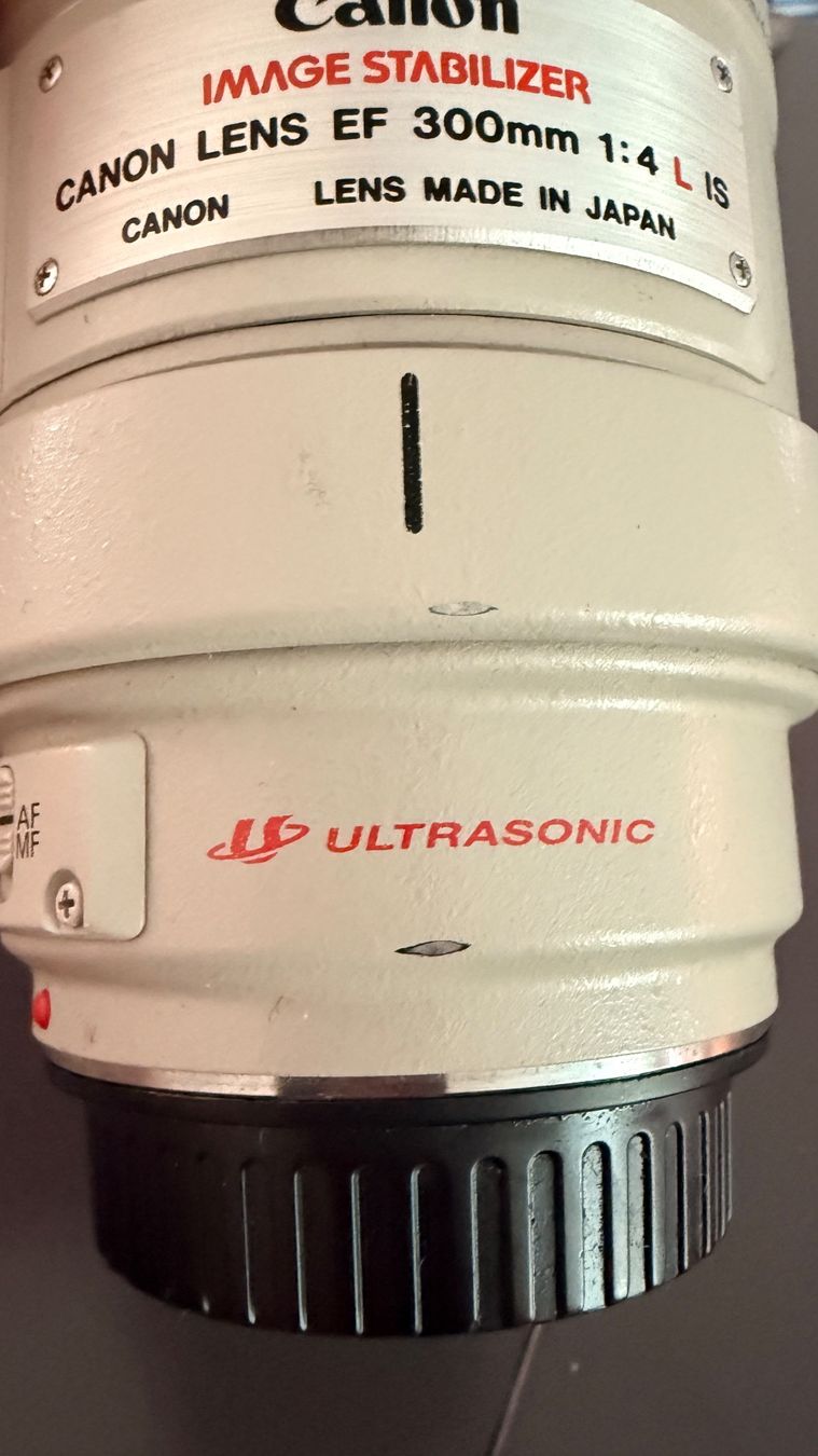 Canon Obiettivi: Canon 300m 4L – Usato da Saillon venduto da saillon81 6