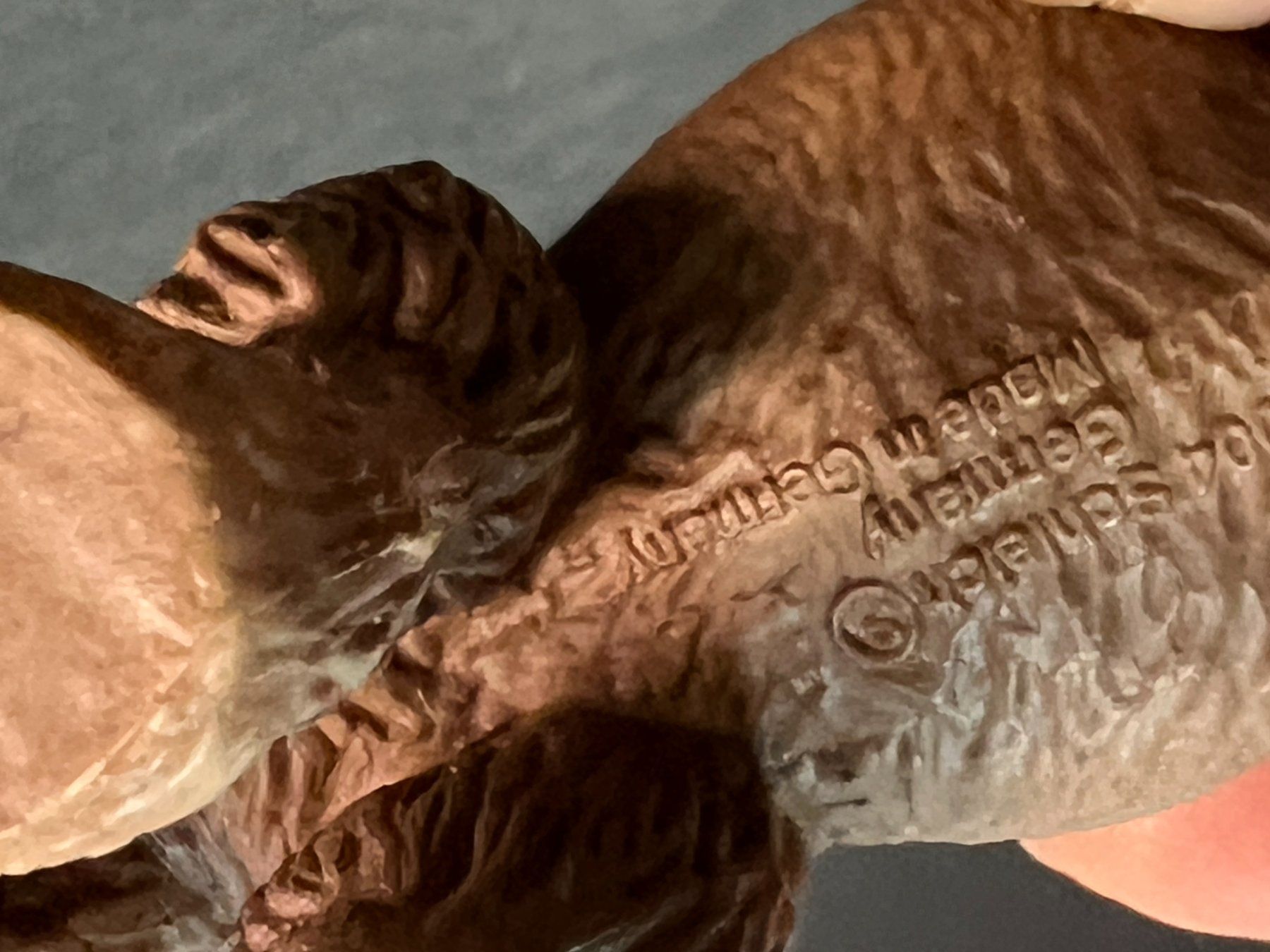 Schleich Statuette: Schleich Trampeltier Rarität Kamel – Usato da Ennetbaden venduto da mapa05 6