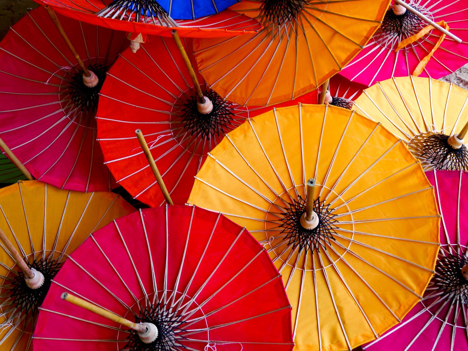 Libri: 100 Ex. "Edita - Asian Fusion" – Nuovo e nell'imballaggio originale da Olten venduto da Bikaver 6