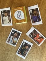 Panini World Cup 2026 70 Stück inkl. 5 Cola Bilder