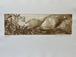 Radierung von Jürgen GRENZEMANN 1973      (ID B5872)