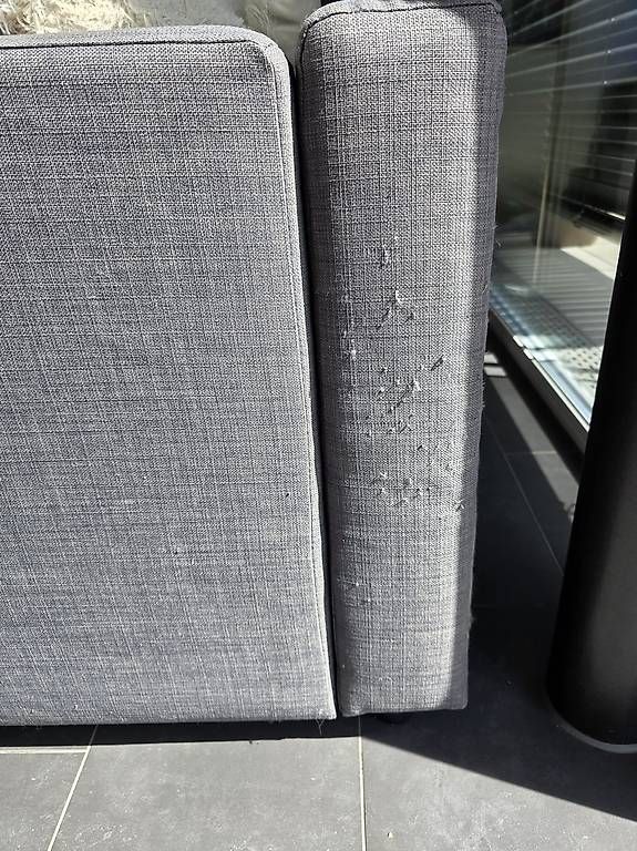 Sofas: IKEA FRIHETEN Eckbettsofa  dunkelgrau gebraucht – Gebraucht aus Oberbuchsiten von Mintless 1