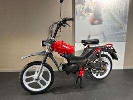 Pony Cross 521