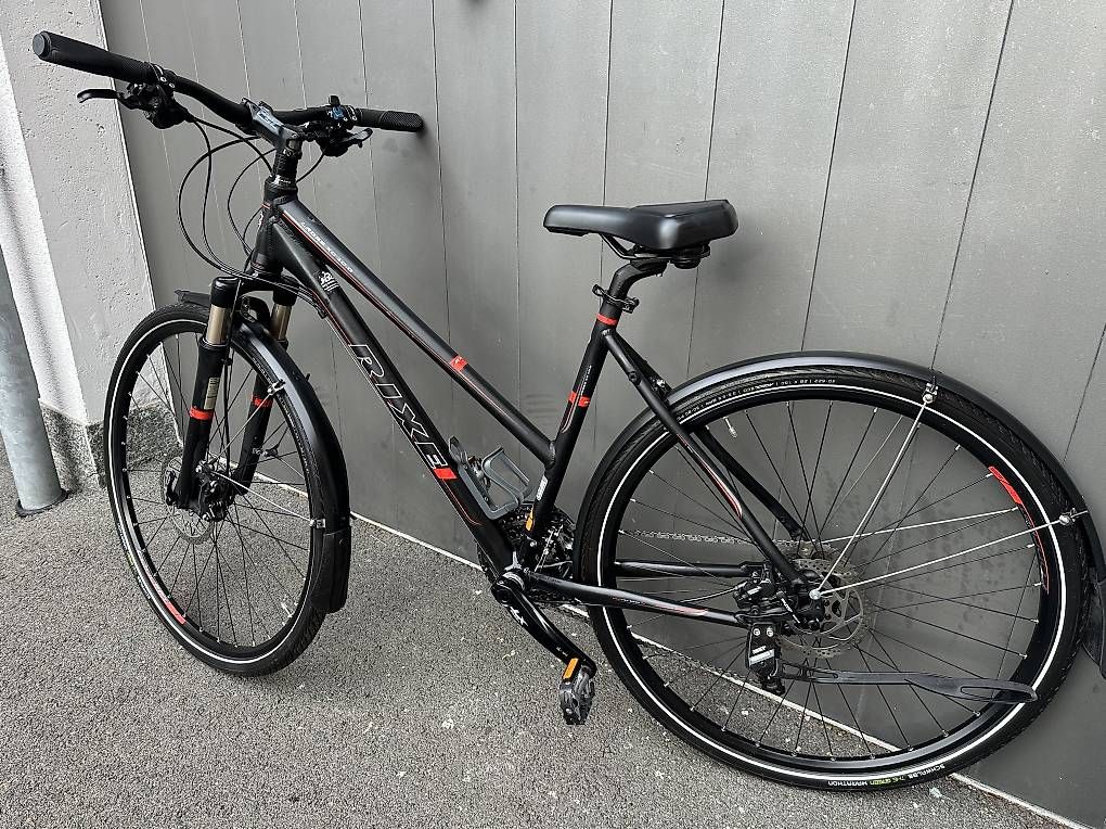 Biciclette: Bicicletta trekking da donna Rixe 28   – Usato da Quartino venduto da DiloUsato 2