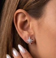 Boucles d'oreille argent avec diamants de moissanite