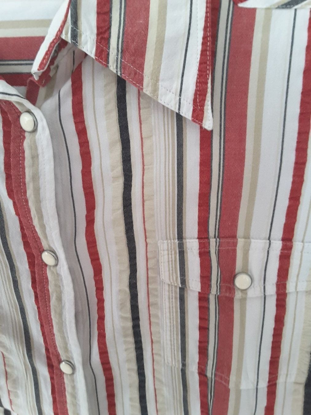 Tom Tailor Camicette: Tom Tailor Damenbluse Gr.40 – Usato da Boppelsen venduto da tigimohrli 2